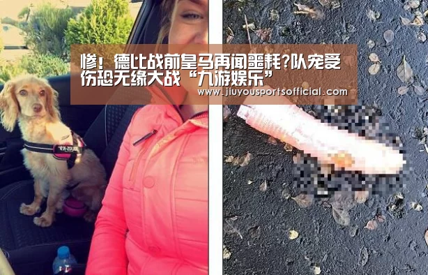 9游官网