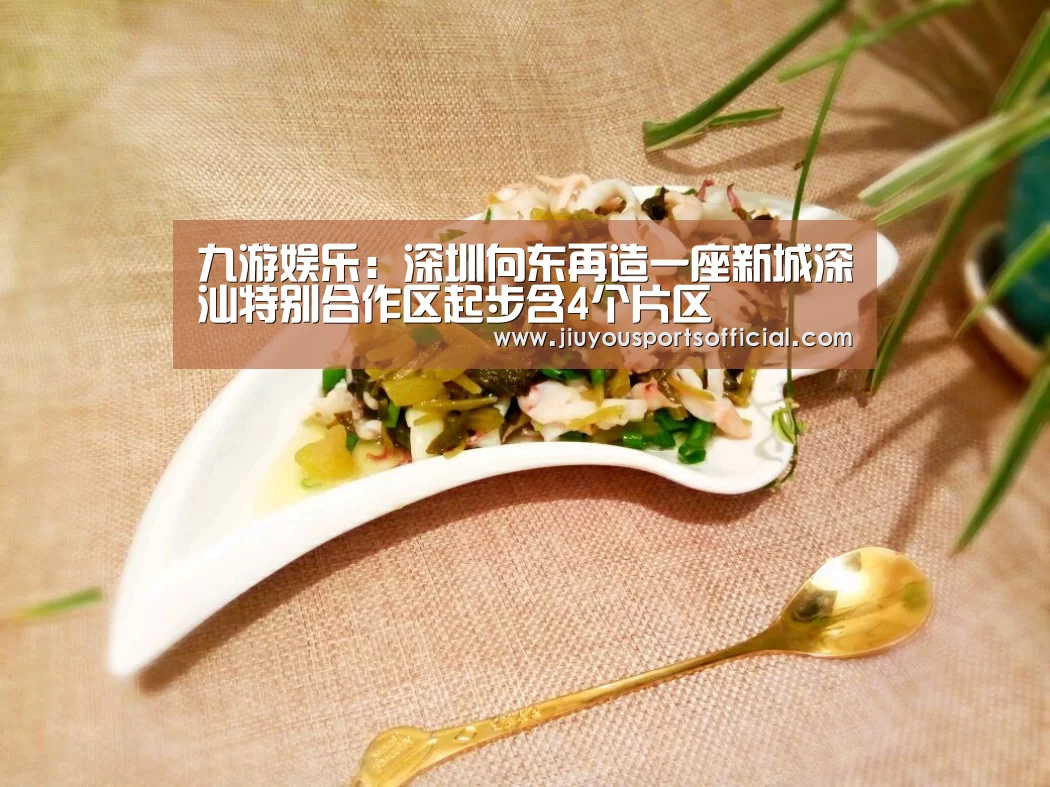 九游娱乐：深圳向东再造一座新城深汕特别合作区起步含4个片区(图2)
