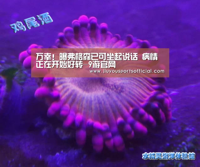 九游娱乐